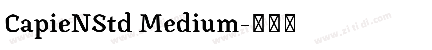 CapieNStd Medium字体转换